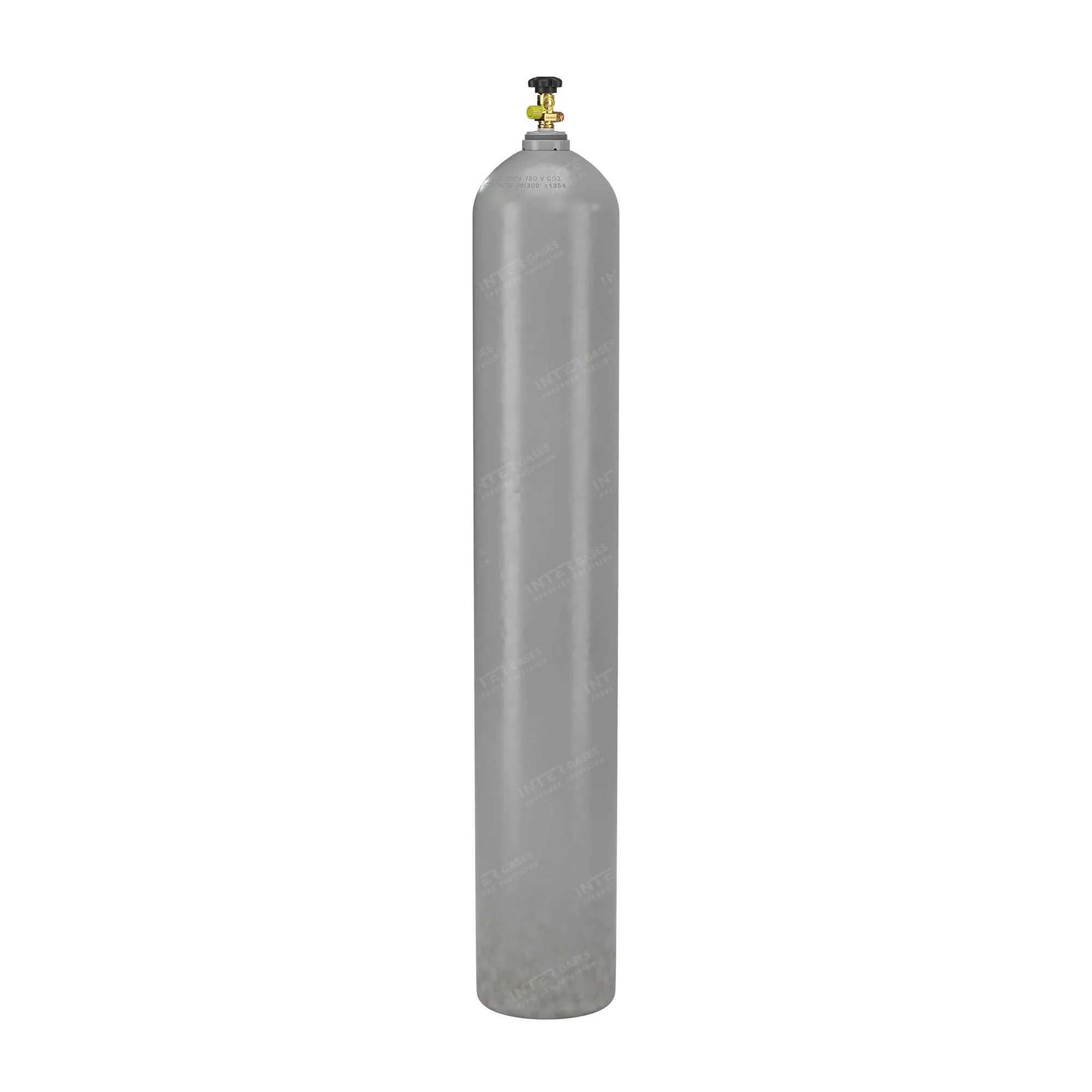 Intergases 50 L CO2 E290 food grade cylinder, grey – 34-left