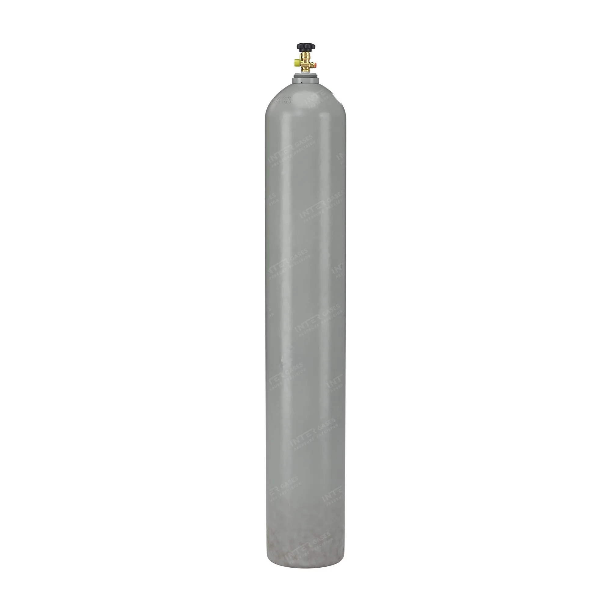 Intergases 50 L CO2 E290 food grade cylinder, grey – front